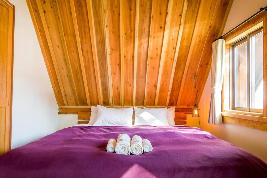 Misorano Chalet Hakuba Eksteriør billede