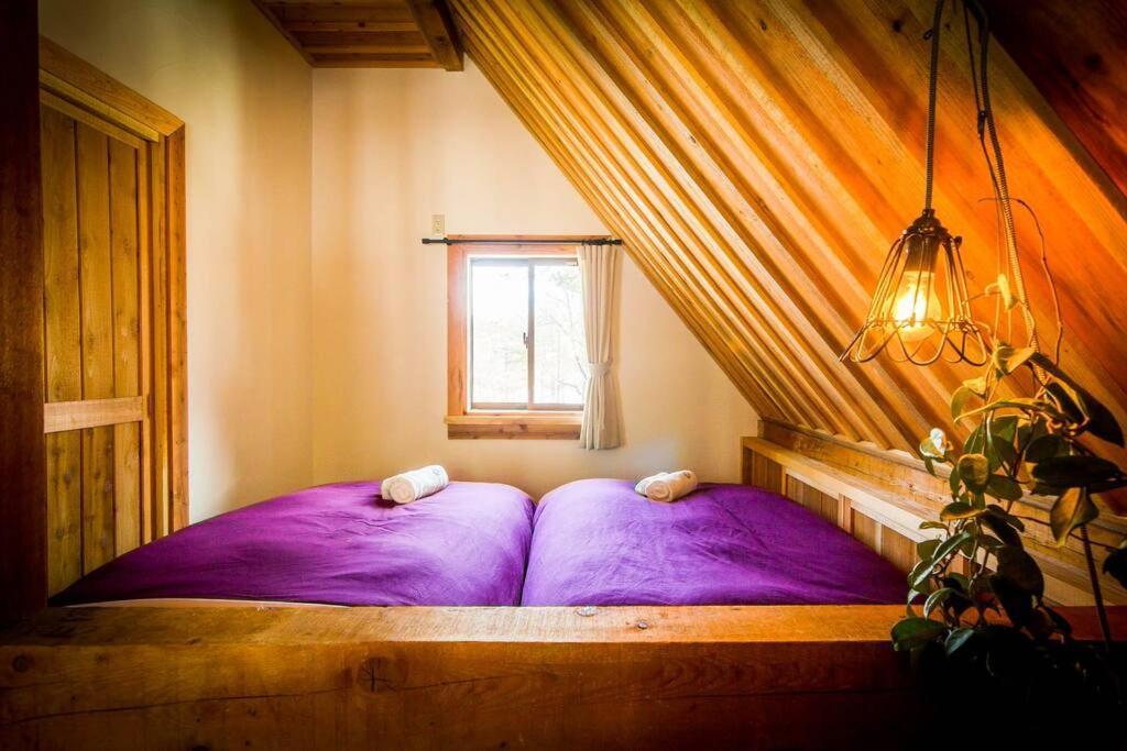 Misorano Chalet Hakuba Eksteriør billede