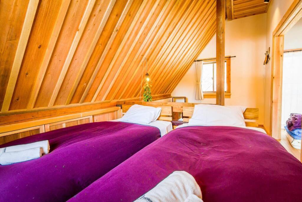 Misorano Chalet Hakuba Eksteriør billede